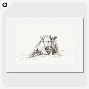 3-3_Jean-Bernard_picture