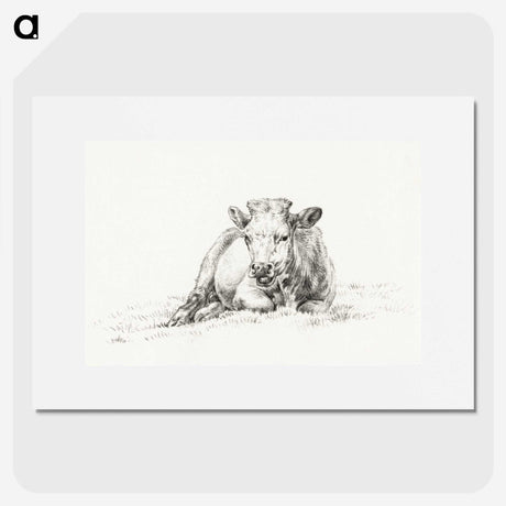 3-3_Jean-Bernard_picture