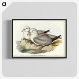 3-3_John-Gould_blk-crop