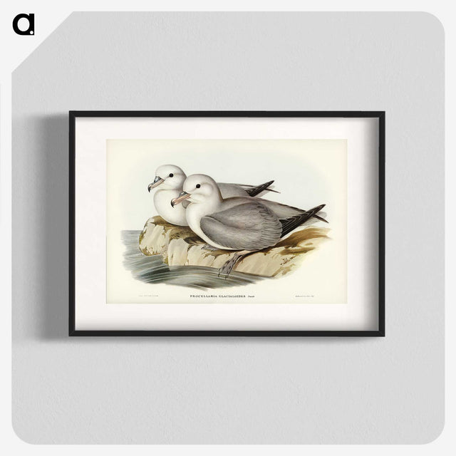 3-3_John-Gould_blk