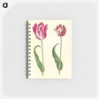 3-3_Maria-Sibylla-Merian_memo