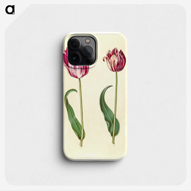 3-3_Maria-Sibylla-Merian_phone