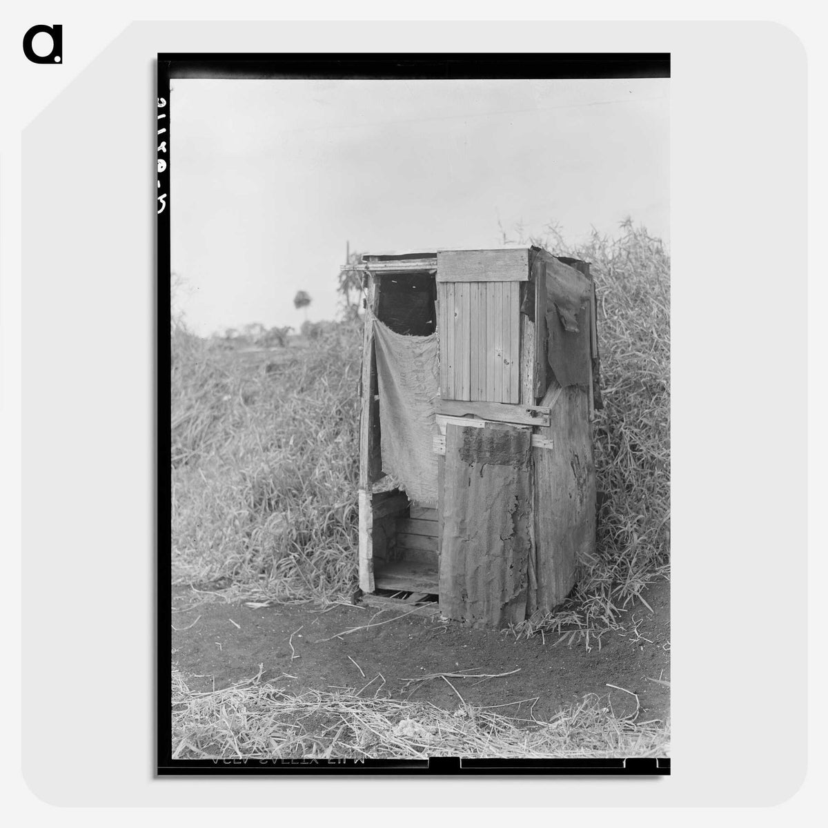 3-3_Marion-Post-Wolcott_picture-crop