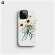 3-3_Pierre-Joseph-Redoute_phone