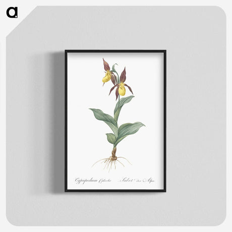 3-3_The-Lilies_blk-crop