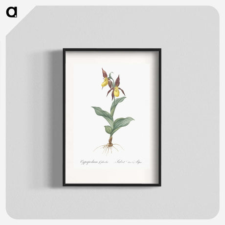 3-3_The-Lilies_blk