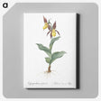 3-3_The-Lilies_canvas