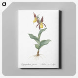 3-3_The-Lilies_canvas