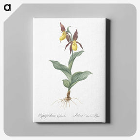 3-3_The-Lilies_canvas