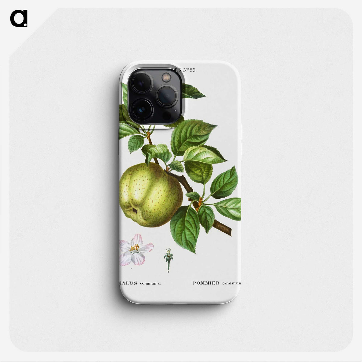 3-3_Treatise-on-Trees-and-Shrubs_phone