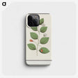 3-40_Anselmus-Boetius-de-Boodt_phone