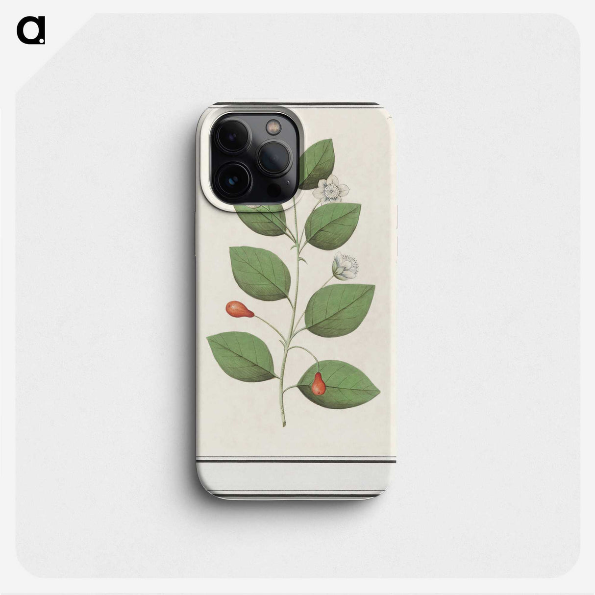 3-40_Anselmus-Boetius-de-Boodt_phone