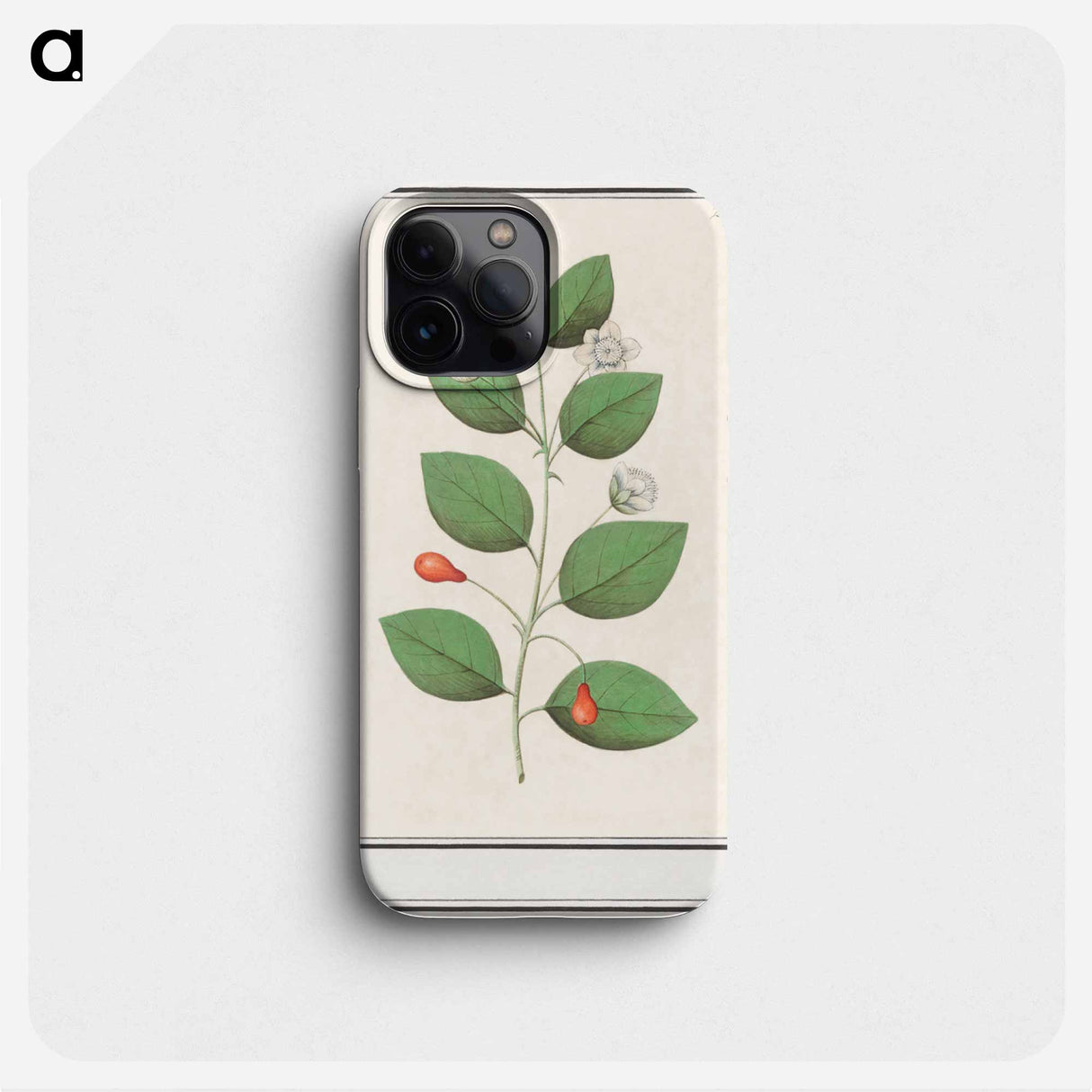 Myrtle family, Myrtaceae - アンセルムス ボエティウス デ ブート Phone Case.