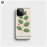 Myrtle family, Myrtaceae - アンセルムス ボエティウス デ ブート Phone Case.