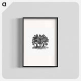 アートポスター-Victorian Tree Engraving
 - 大英図書館 Poster.