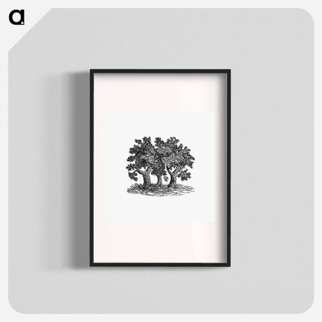 アートポスター-Victorian Tree Engraving
 - 大英図書館 Poster.
