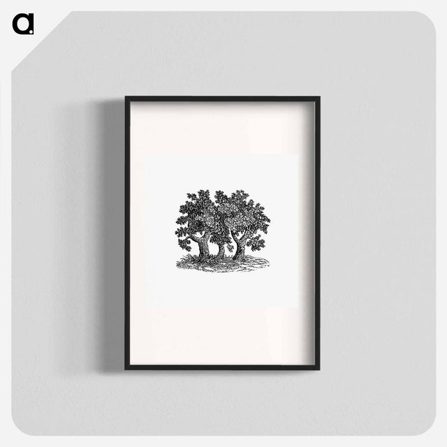 アートポスター-Victorian Tree Engraving
 - 大英図書館 Poster.