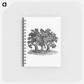 アートメモ帳-Victorian Tree Engraving
 - 大英図書館 Memo.