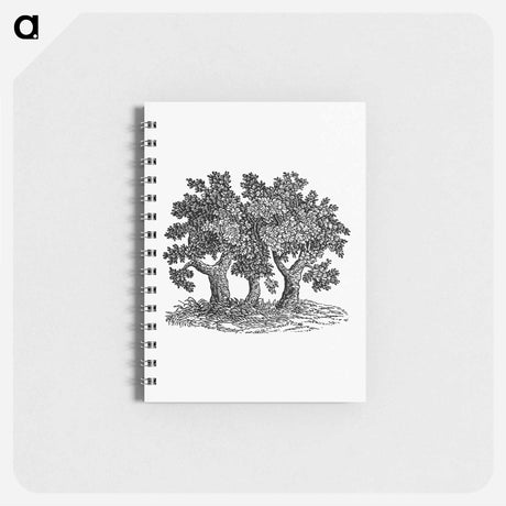 アートメモ帳-Victorian Tree Engraving
 - 大英図書館 Memo.