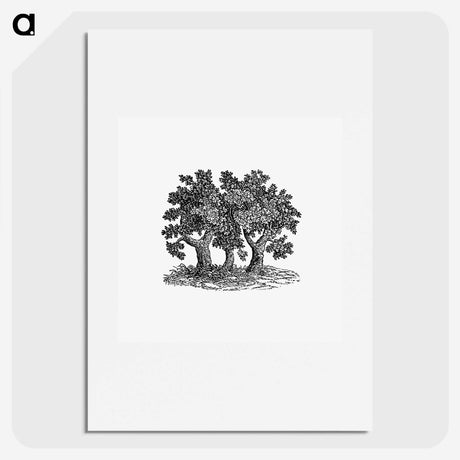 3-40_British-Library_picture