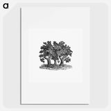 アートポスター-Victorian Tree Engraving
 - 大英図書館 Poster.