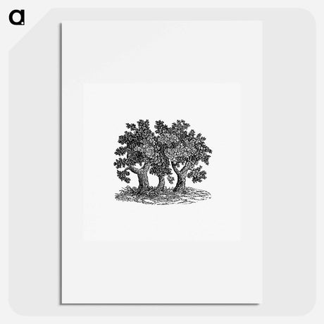 アートポスター-Victorian Tree Engraving
 - 大英図書館 Poster.