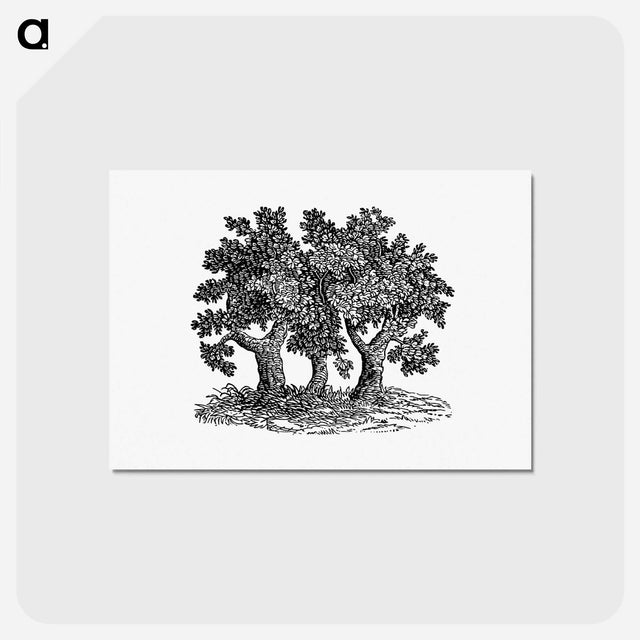 アートポストカード-Victorian Tree Engraving
 - 大英図書館 Postcard.