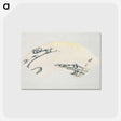 3-40_Cleveland-Museum-of-Art_postcard