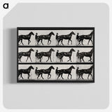 3-40_Eadweard-Muybridge_blk-crop