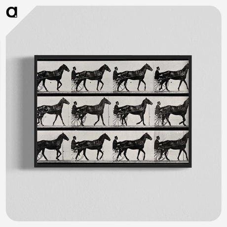 3-40_Eadweard-Muybridge_blk-crop