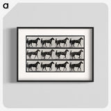 3-40_Eadweard-Muybridge_blk