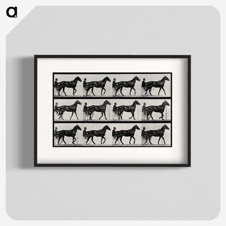 3-40_Eadweard-Muybridge_blk