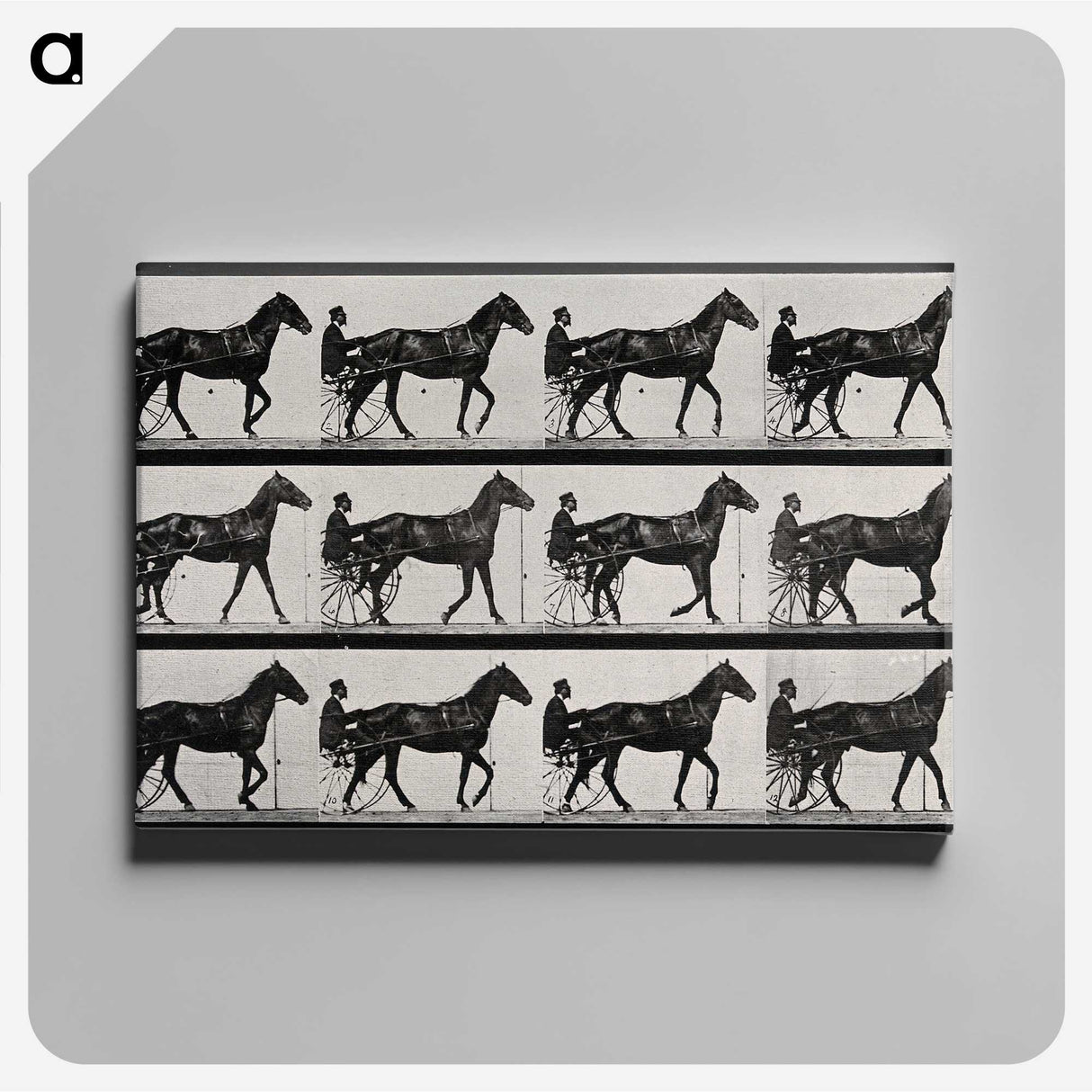 3-40_Eadweard-Muybridge_canvas