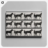 3-40_Eadweard-Muybridge_canvas
