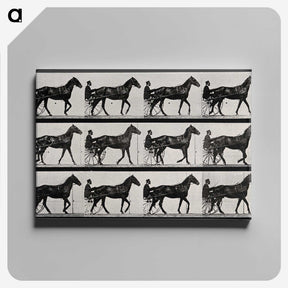 3-40_Eadweard-Muybridge_canvas