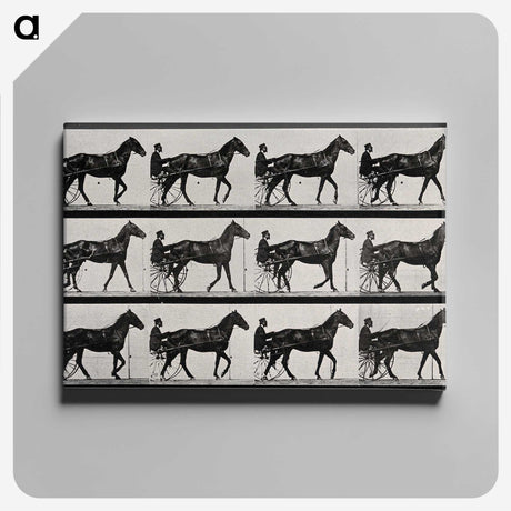 3-40_Eadweard-Muybridge_canvas