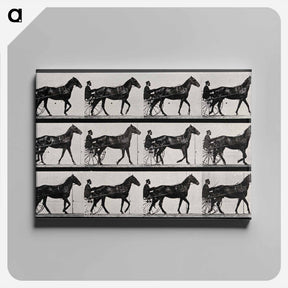 アートパネル-Chariot and Horse
 - エドワード マイブリッジ Canvas.