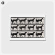 アートポストカード-Chariot and Horse
 - エドワード マイブリッジ Postcard.