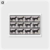 アートポストカード-Chariot and Horse
 - エドワード マイブリッジ Postcard.