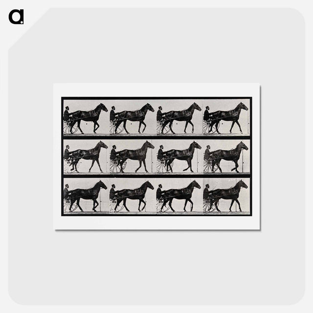 アートポストカード-Chariot and Horse
 - エドワード マイブリッジ Postcard.