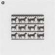 3-40_Eadweard-Muybridge_memo