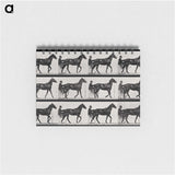 3-40_Eadweard-Muybridge_memo