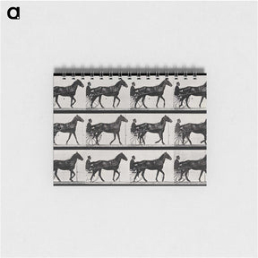 3-40_Eadweard-Muybridge_memo