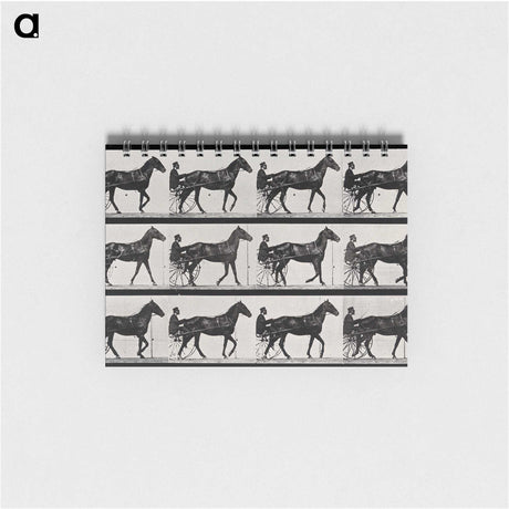 3-40_Eadweard-Muybridge_memo