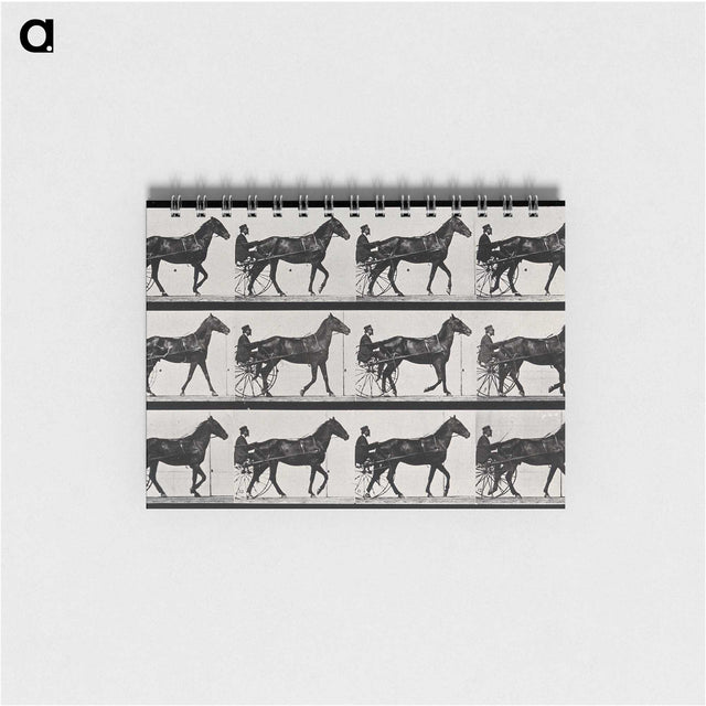 3-40_Eadweard-Muybridge_memo