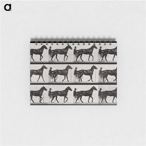 アートメモ帳-Chariot and Horse
 - エドワード マイブリッジ Memo.