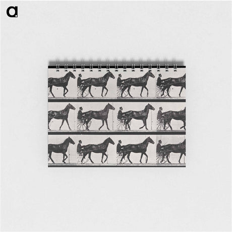 アートメモ帳-Chariot and Horse
 - エドワード マイブリッジ Memo.