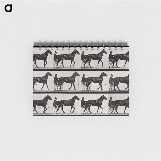 アートメモ帳-Chariot and Horse
 - エドワード マイブリッジ Memo.