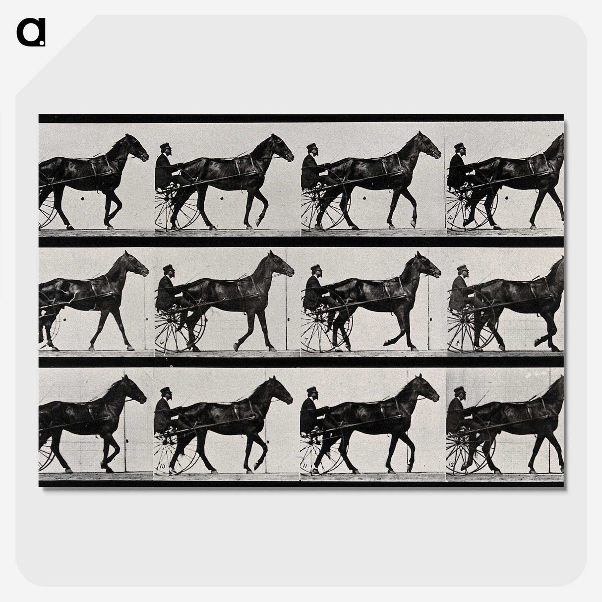 3-40_Eadweard-Muybridge_picture-crop