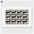3-40_Eadweard-Muybridge_picture